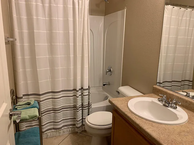 Hall bathroom downstairs