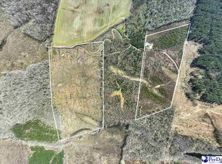 Cash Swamp Rd, Cheraw, SC 29520