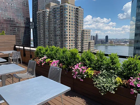 Rented by Greystar | media 41