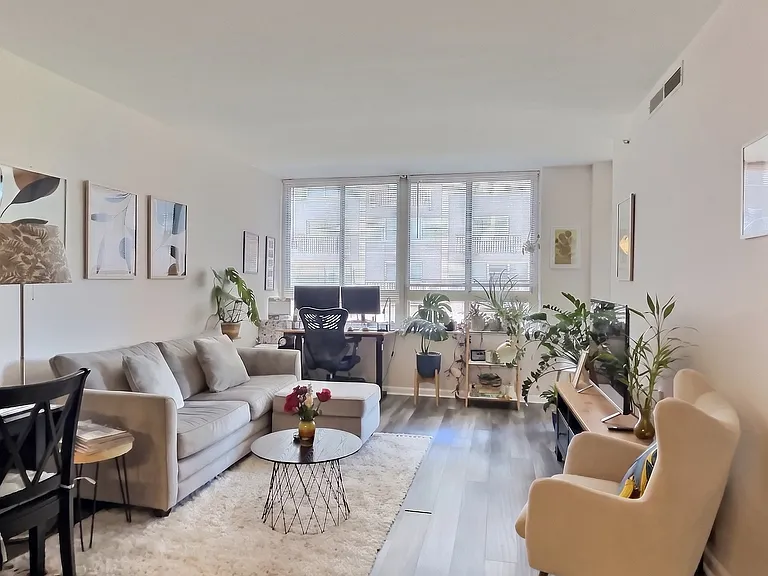 Spacious living area with lots of great natural light (perfect for plant lovers!)