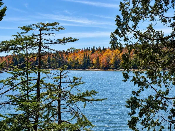 Lot 20-15 Collins Cove  Road, Machiasport, ME 04655