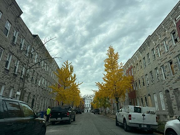 4th image of 1018 Brantley Ave