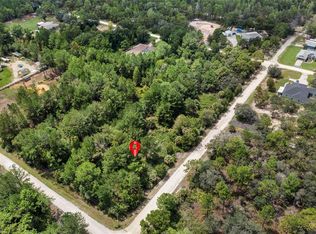18399 RAMSEY ROAD LOT 16, WEEKI WACHEE, FL 34614