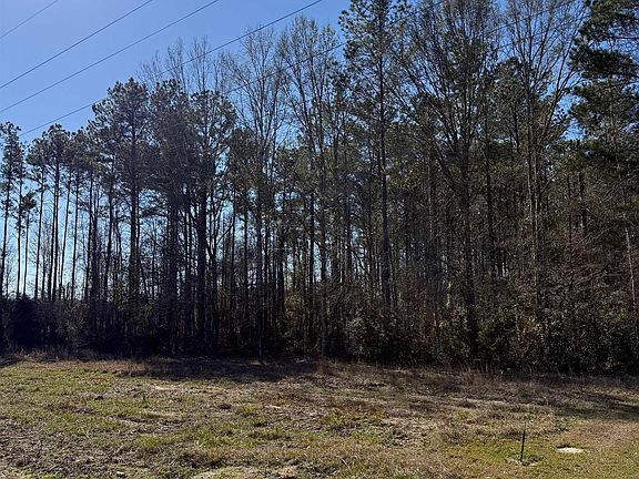 2nd image of 63 Tbd La Hwy