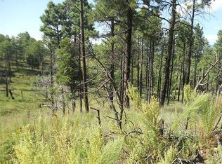 0 Buckwood Rd, Timberon, NM 88350