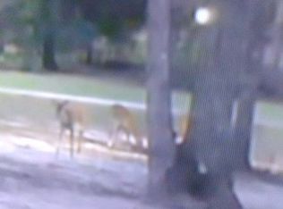 94 Diamond Rader Rd, Perkinston, MS 39573