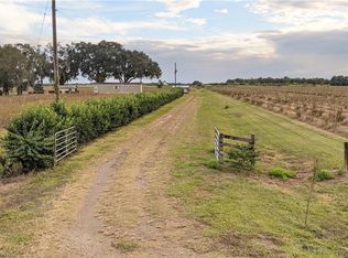 1250 Broadus Williams Rd, Zolfo Springs, FL 33890