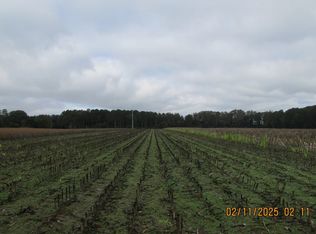 S Williamsburg County Hwy, Kingstree, SC 29556