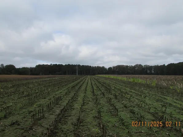 S Williamsburg County Hwy, Kingstree, SC 29556