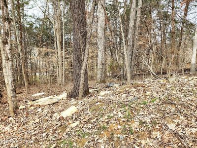 LOT 6 Lynn Dr, Maynardville, TN, 37807