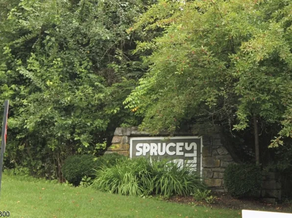 903 Spruce Hills Dr #903, Glen Gardner Boro, NJ 08826