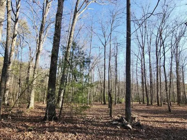 0 Happy Valley Rd, Tallassee, TN 37878