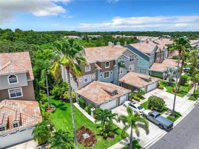 1700 Arabian Ln, Palm Harbor, FL, 34685