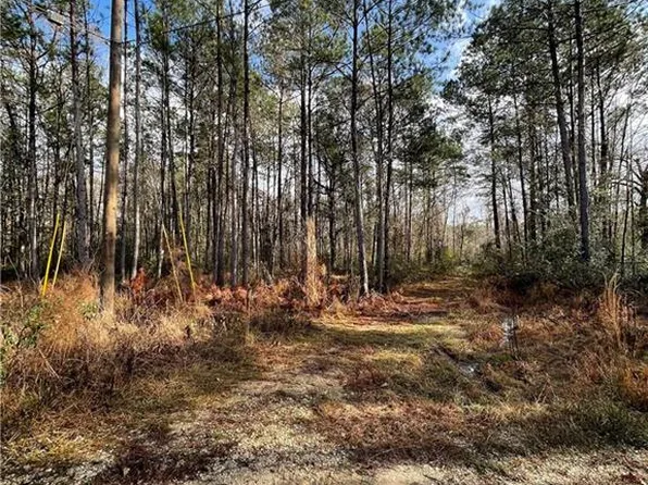 0 Abbott Stewart Rd, Holden, LA 70744