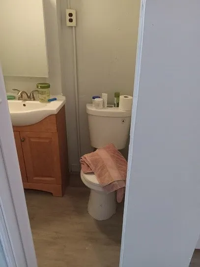 3 bed, 900 sqft, $1,250 — Photo 4