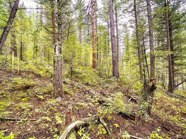 10862-10872 Twin Spruce Road, Golden, CO 80403