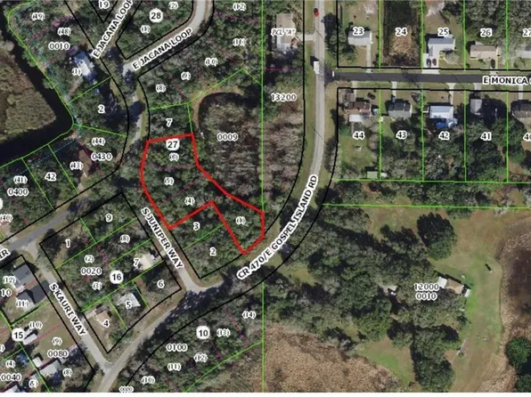 9680 E Gospel Island Rd, Inverness, FL 34450