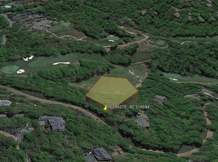 1 Chattooga Run, Hendersonville, NC 28739