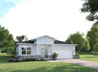 3255 Tiger Palm Way, New Smyrna Beach, FL 32168
