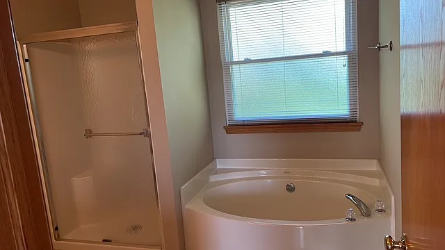 Master Bathroom (Tub + Shower)