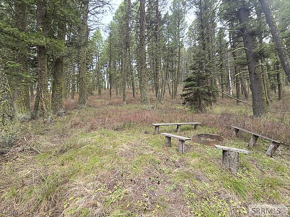 4th image of 3548 Aspen Dr