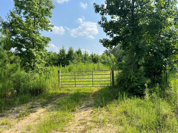 Jim Walker Rd, Waynesboro, MS 39367