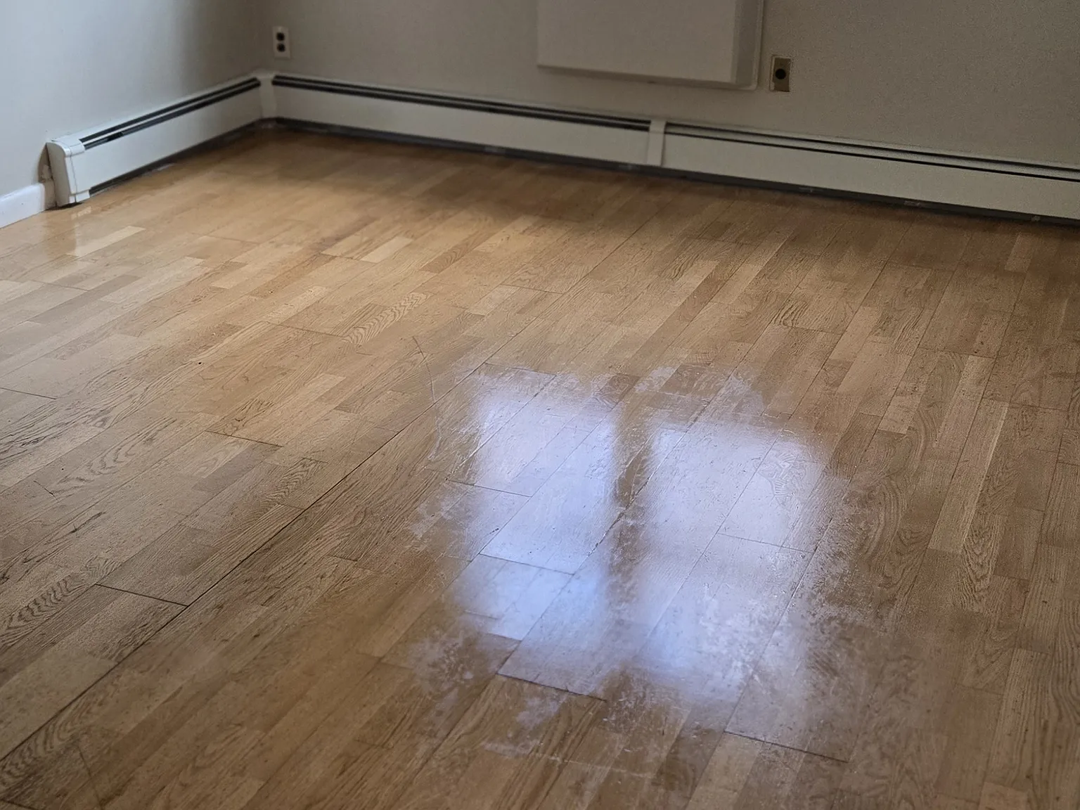 1 bed, 850 sqft, $2,300 — Photo 1