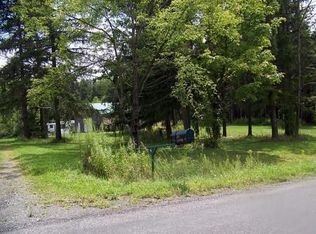 81 Irish Hill Rd, Newfield, NY 14867