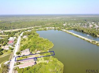 29 Emerald Lake Ct, Palm Coast, FL 32137