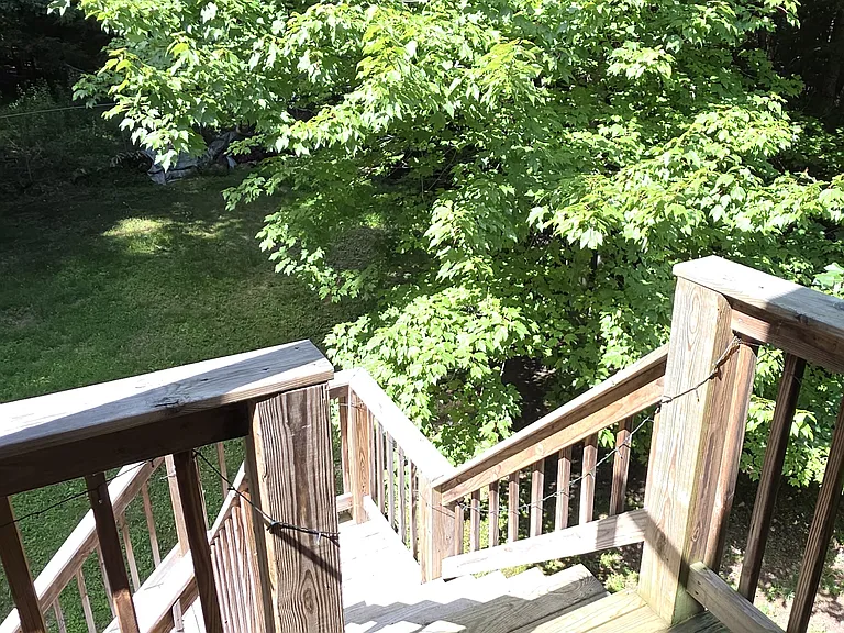 278 Forest Rd — Photo 30