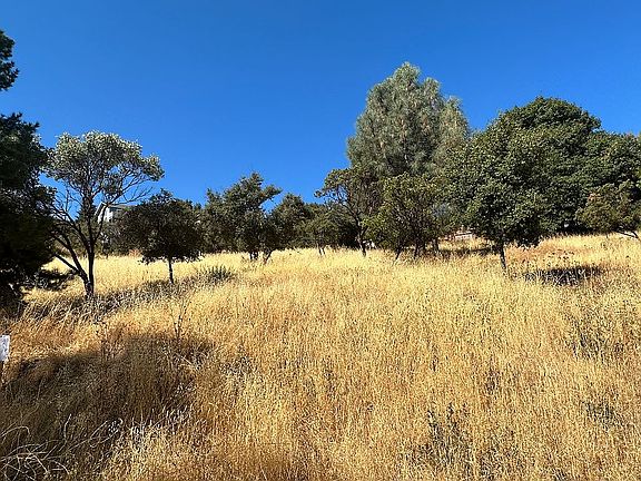5th image of 5297 Tewa Ct