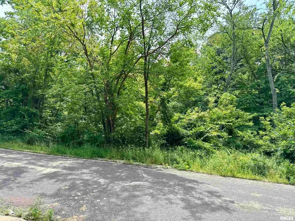 106 Maywood Ave, Creve Coeur, IL 61610