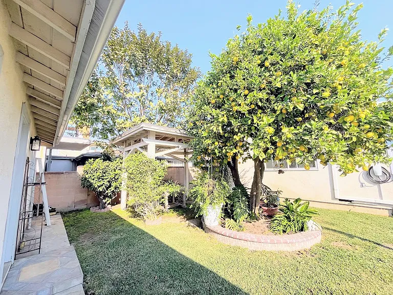 Lawn and pergola in front of guest house.