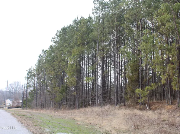 31 American Cv, Byhalia, MS 38611