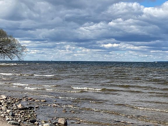 4th image of 1242 Lofgren Shore Dr #1244