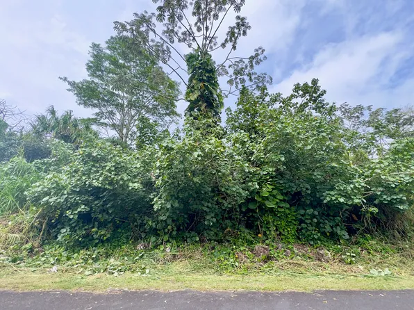 Nenue St Lot 14, Pahoa, HI 96778