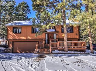 410 N Coraline St, Woodland Park, CO 80863