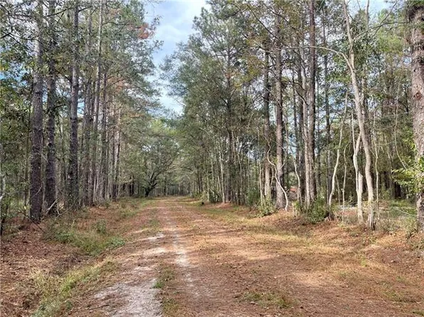 37285 Dummyline Rd, Pearl River, LA 70452