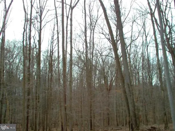 550 Bryants Nursery Rd, Silver Spring, MD 20905