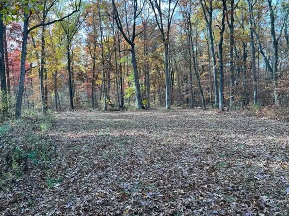 0 Piepers Corner Rd, Silex, MO 63377