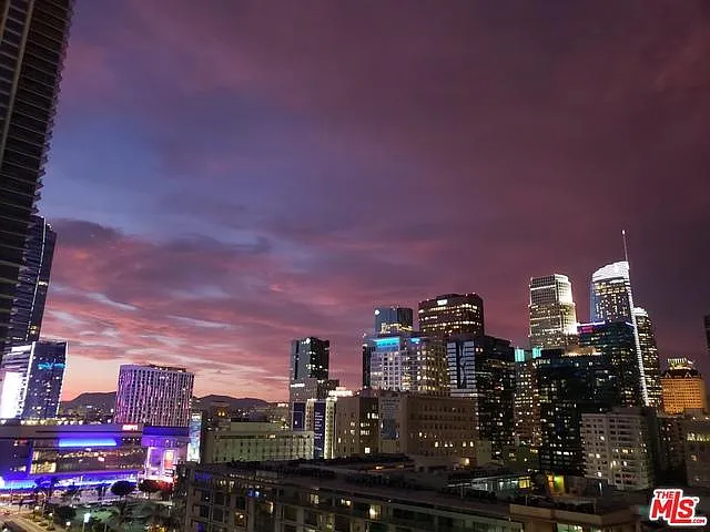 1100 S Hope St #1206 — Photo 7