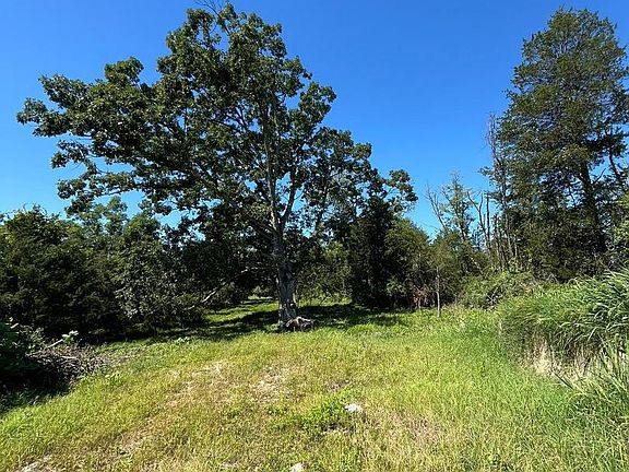 3rd image of Dogwood Rd