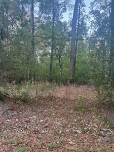 Will Richardson Rd, Ponchatoula, LA, 70454