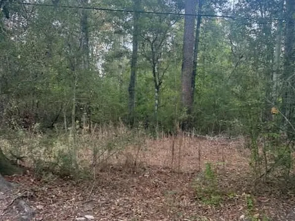 Will Richardson Rd, Ponchatoula, LA 70454
