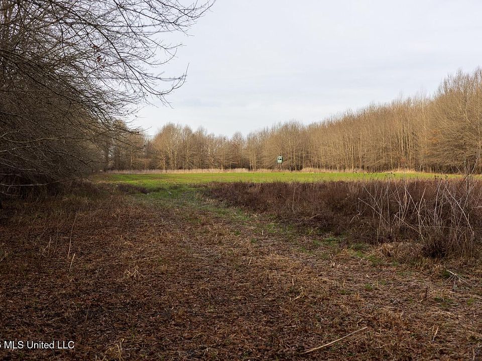 64th image of this home