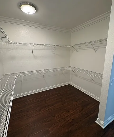 2558 Orange Ave #B2 — Photo 12