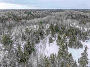 8428 Old Cemetary Rd, Tower, MN 55790