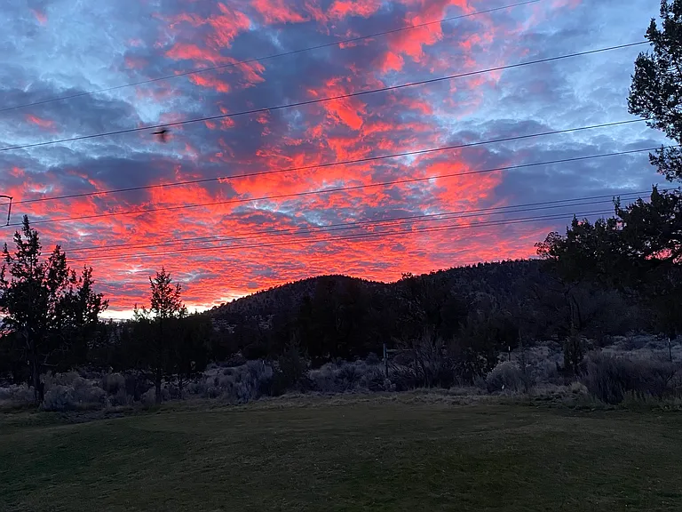 Evening View Out The Back Deck
