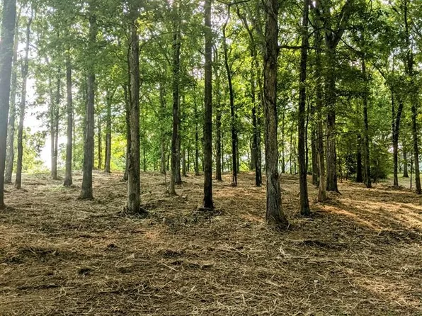 0 Kerry Dr, Wynne, AR 72396