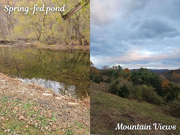 2nd image of Boyd Rd